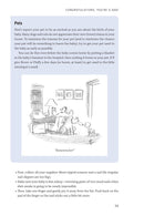 The New Father: A Dad's Guide to the First Year (3rd Edition)