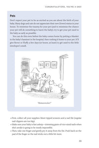 The New Father: A Dad's Guide to the First Year (3rd Edition)