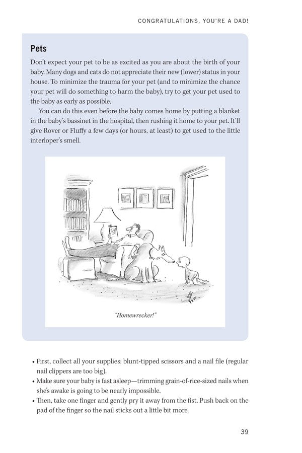 The New Father: A Dad's Guide to the First Year (3rd Edition)