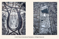 New York From the Air