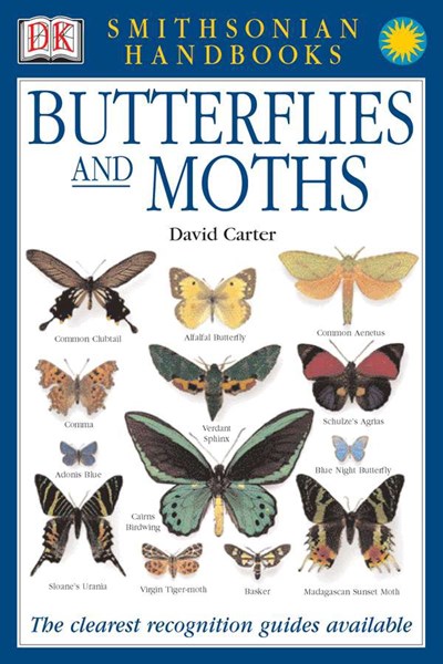 Butterflies & Moths: The Clearest Recognition Guide Available