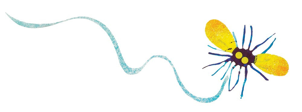 The Wide-Mouthed Frog