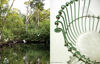 Island Whimsy