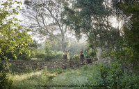 Eden Revisited