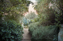 Eden Revisited
