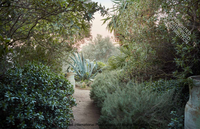 Eden Revisited
