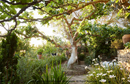 Eden Revisited
