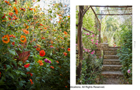 Eden Revisited