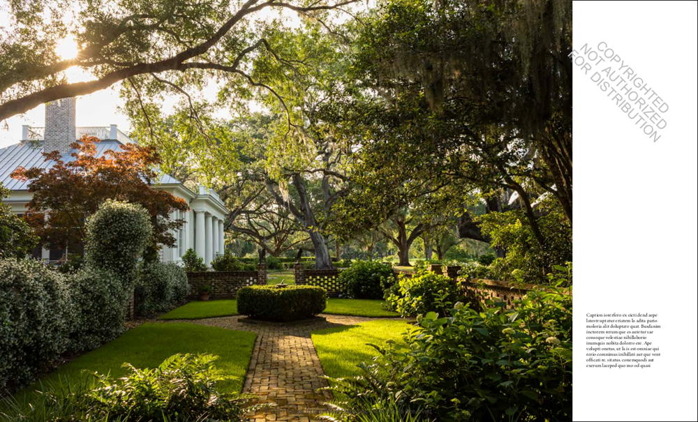 Visions of Home: Timeless Design, Modern Sensibility