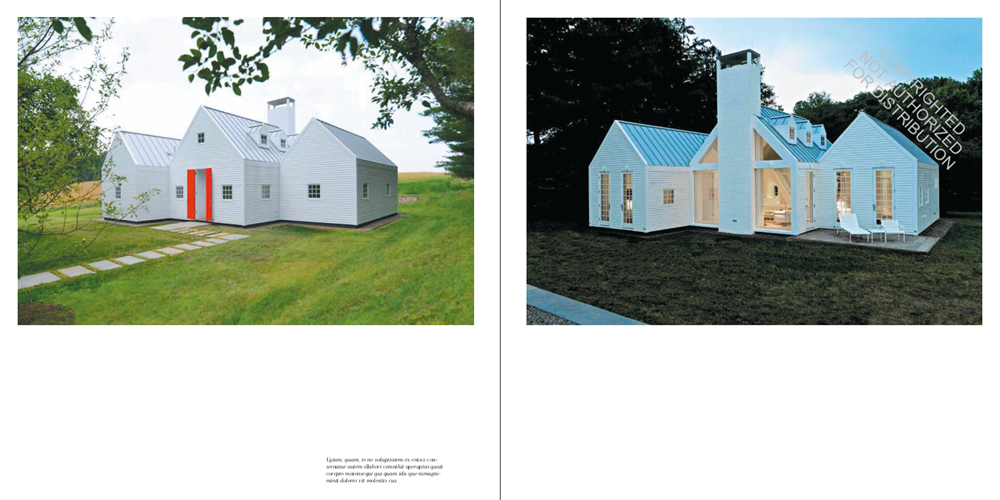 American Modern Home