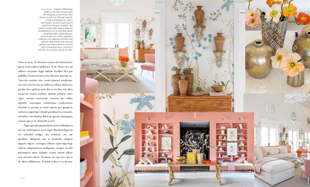 Suzanne Kasler: Edited Style