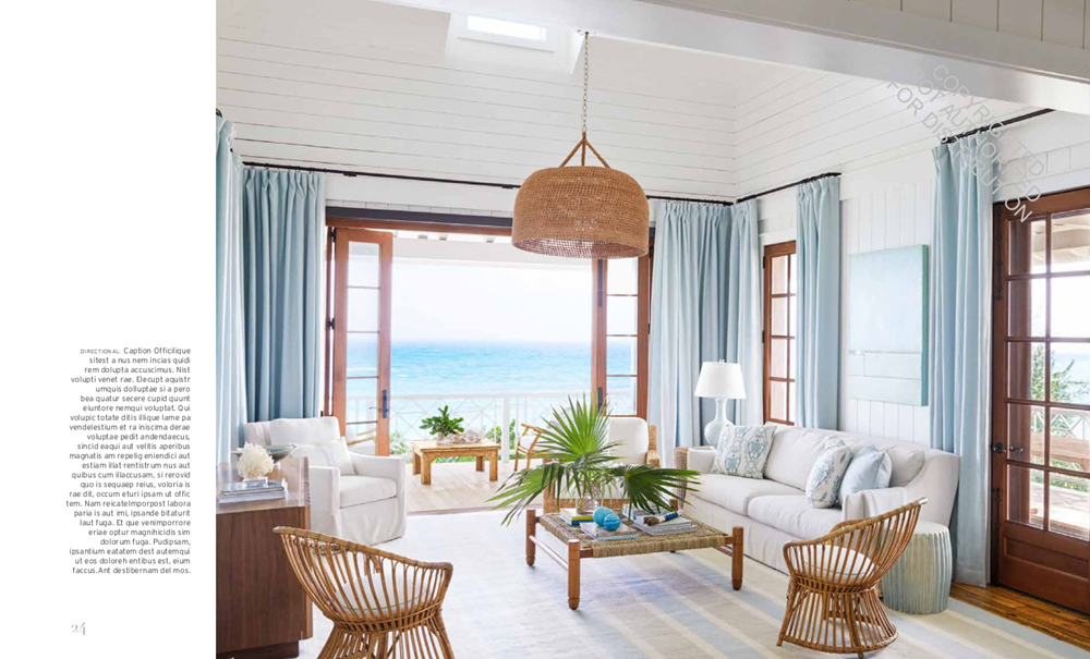 Suzanne Kasler: Edited Style