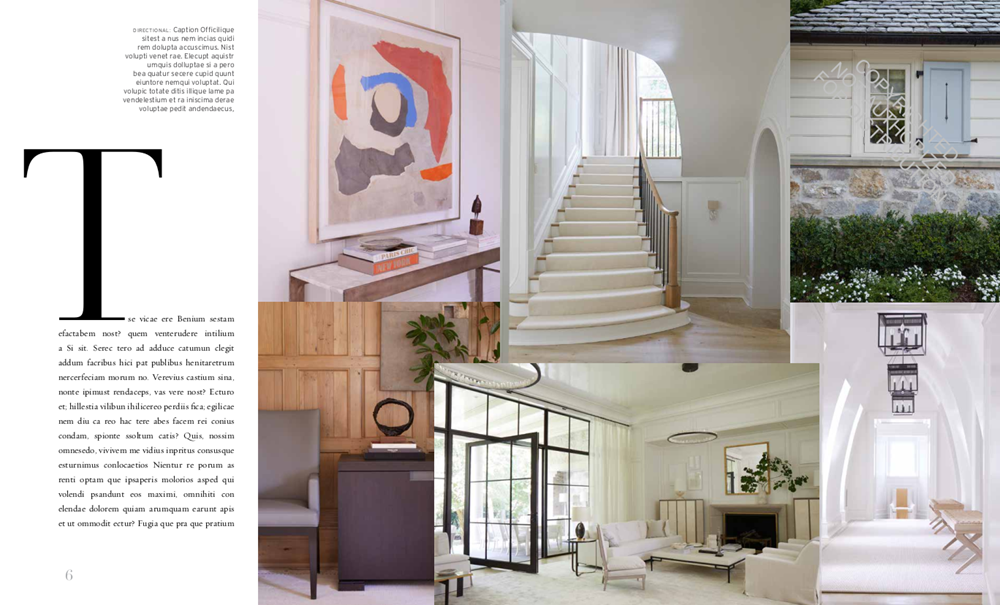 Suzanne Kasler: Edited Style