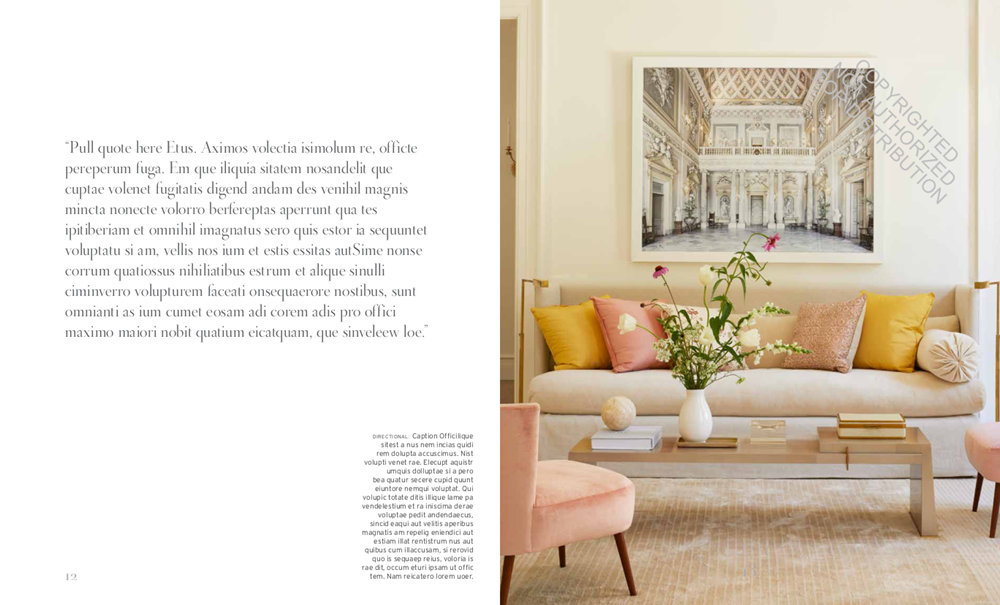 Suzanne Kasler: Edited Style