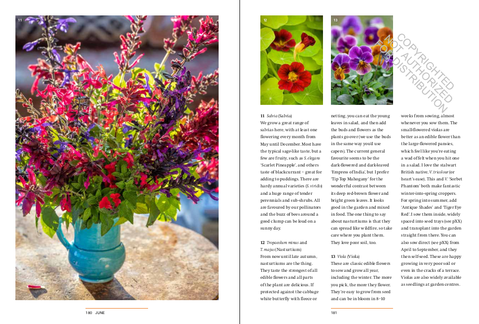 A Year in the Edible Garden