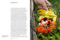 A Year in the Edible Garden