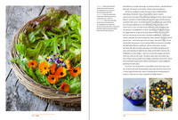 A Year in the Edible Garden