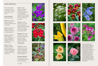 A Year in the Edible Garden