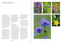 A Year in the Edible Garden