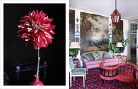 Beige Is Not a Color