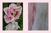 Beige Is Not a Color