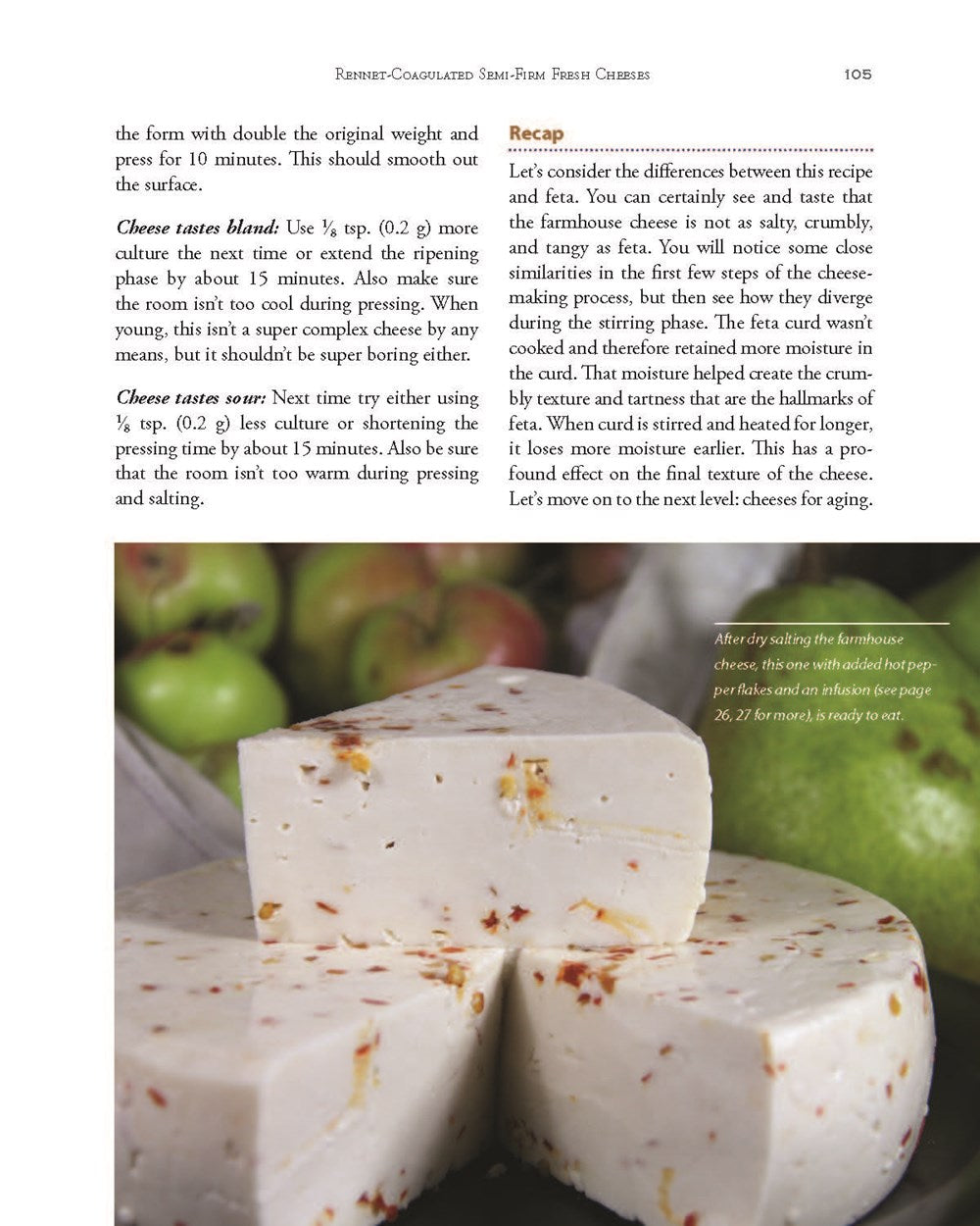 Mastering Basic Cheesemaking