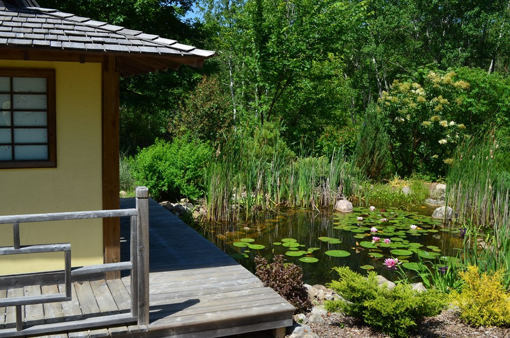 Building Natural Ponds