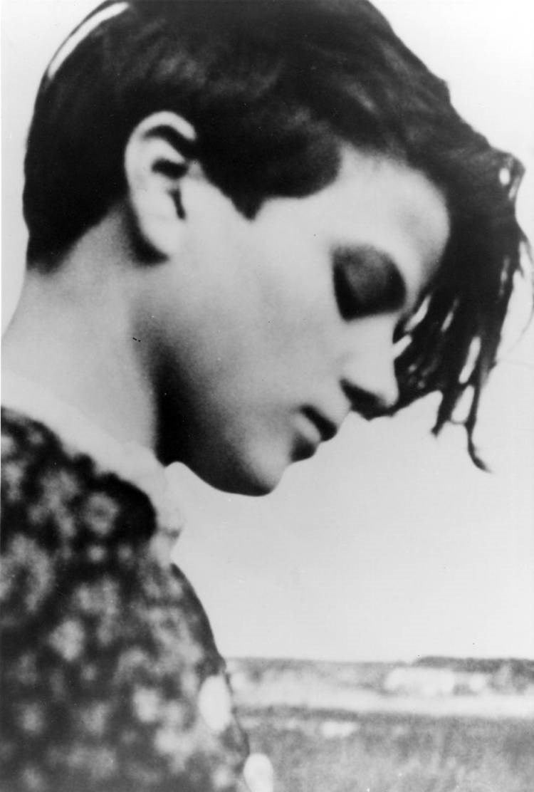 At the Heart of the White Rose