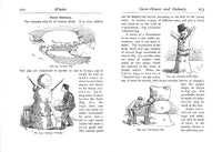 The American Boy's Handy Book