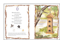 Counting Is for the Birds