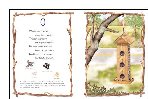 Counting Is for the Birds