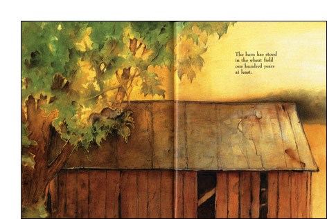 The Barn Owls