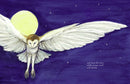 The Barn Owls