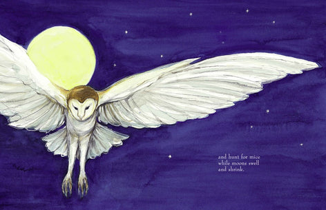 The Barn Owls