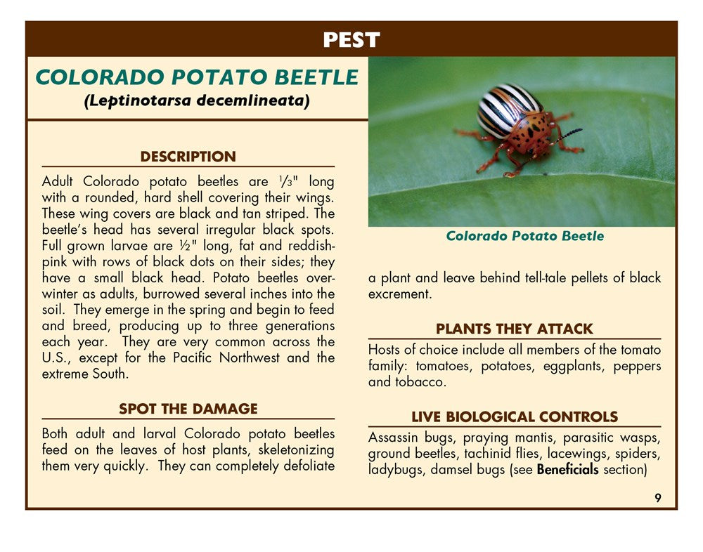 Good Bug Bad Bug