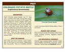 Good Bug Bad Bug