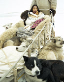 See The World Beautiful