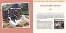Duck Eggs Daily