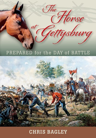The Horse at Gettysburg