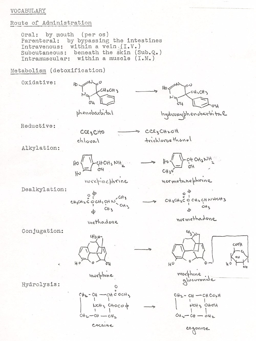 The Nature of Drugs Vol. 1