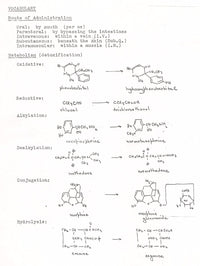 The Nature of Drugs Vol. 1