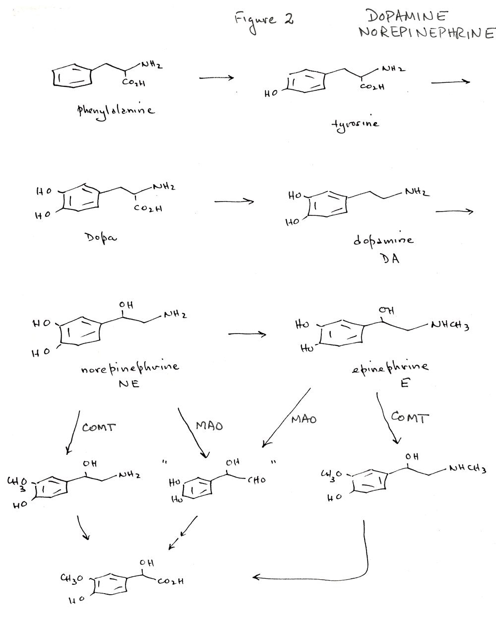 The Nature of Drugs Vol. 1