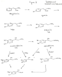 The Nature of Drugs Vol. 1