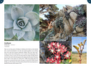 California Plants