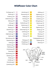 California Plants