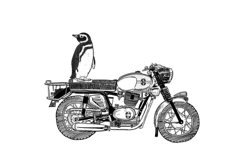 The Penguin Lessons