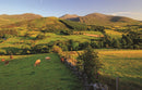 Ireland: A Luminous Beauty