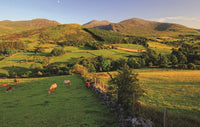 Ireland: A Luminous Beauty