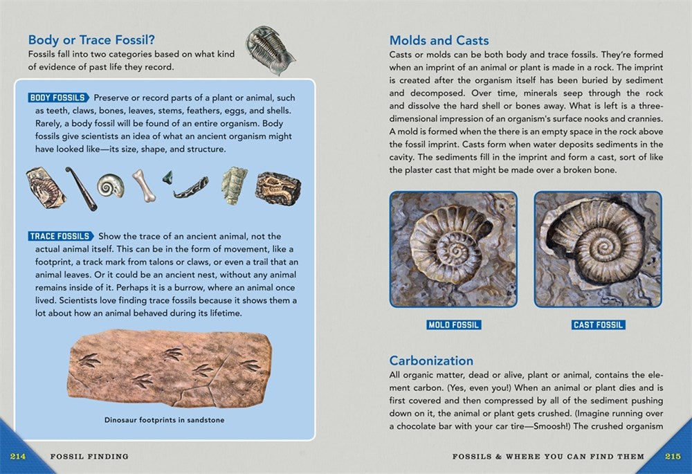 Outdoor School: Rock, Fossil, and Shell Hunting