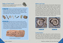 Outdoor School: Rock, Fossil, and Shell Hunting
